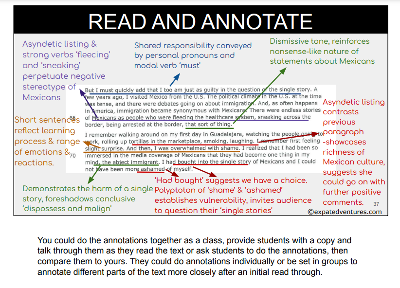 the danger of a single story annotated pdf