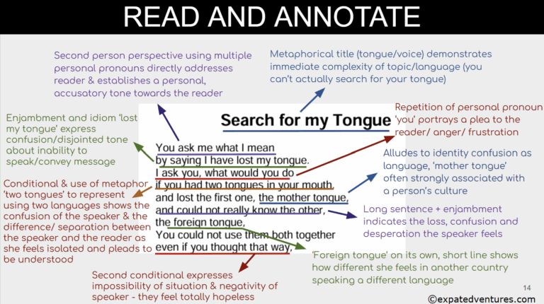 Search-for-my-tongue-annotations